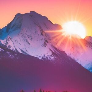 Live and Silent Shows